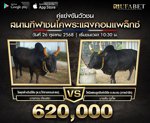 ไฮไลท์วัวชน Test1