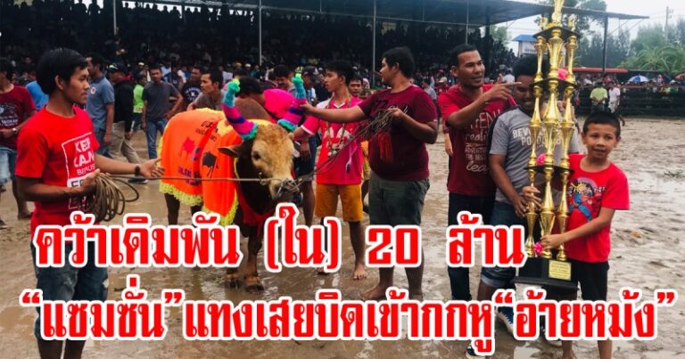 แซมซั่น เอาชนะ อ้ายหม้ง ศึกชนโคเงินเดิมพัน 60 ล้านคู่เอกที่เมืองคอน